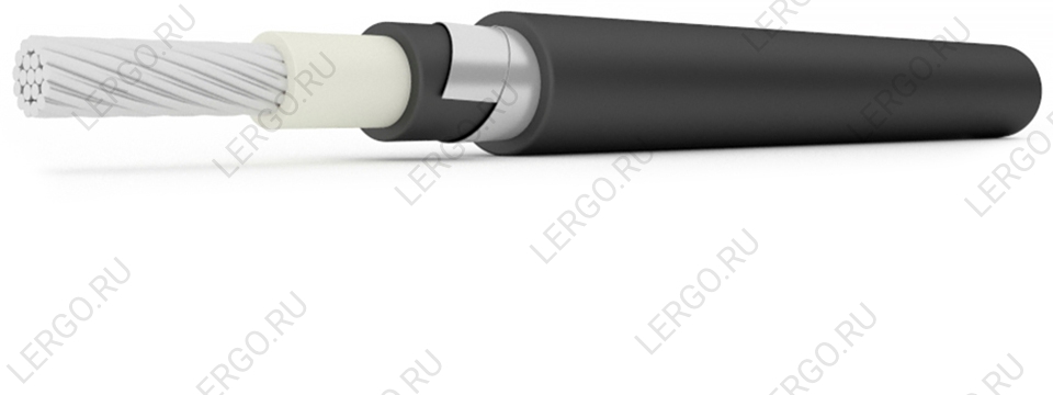 АВПбШвз 1х70