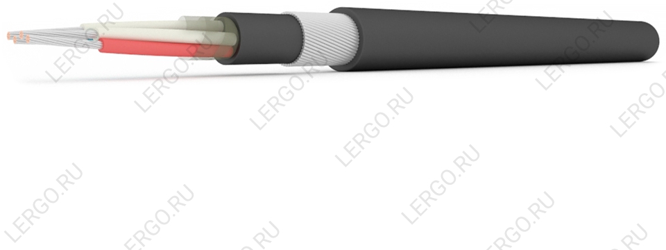 МККШВнг(А) 2х2х1