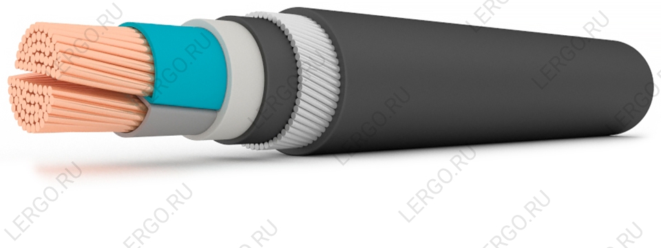 ВПбШнг(А) 2х70