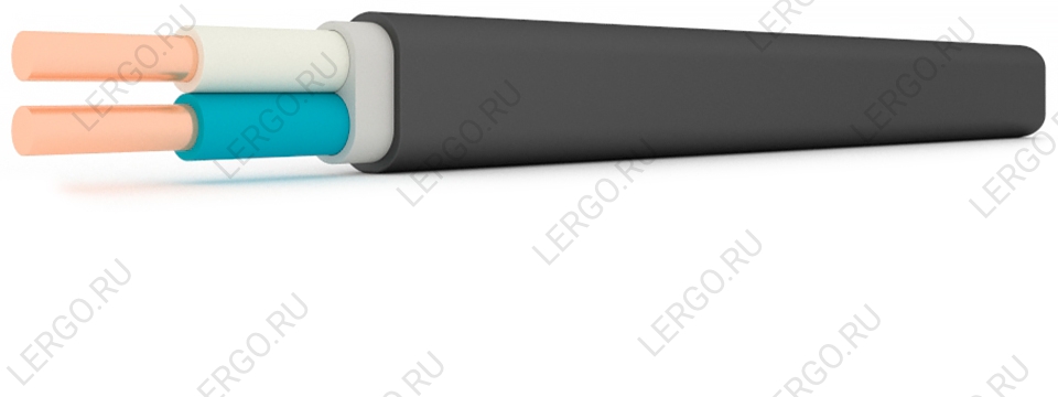 ВВГнг(А)-П 2х10