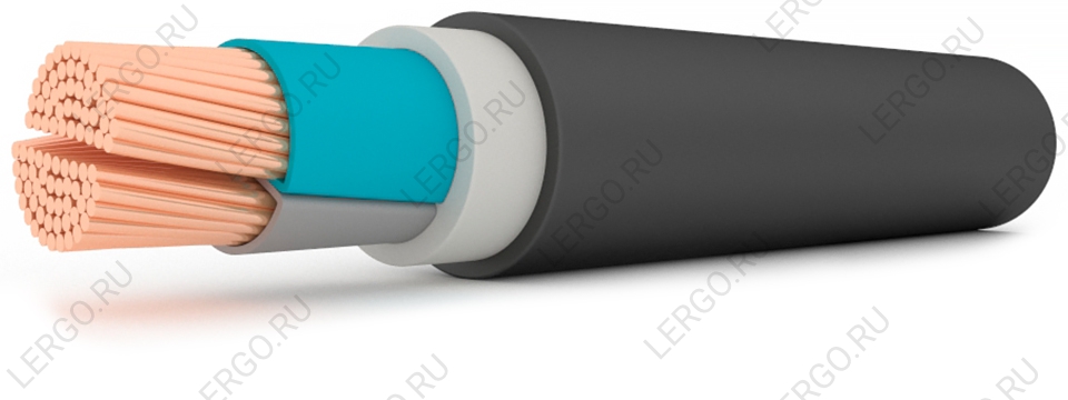 ВВГзнг(А) 2х70