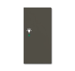 SRL-2-R-95 Клавиша двойная правая free@home, освещение, Basic 55, цвет chateau-black | 6220-0-0697 | 2CKA006220A0697 | ABB