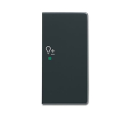 SRD-2-R-81 Клавиша двойная правая free@home, светорегулятор, future, антрацит|6220-0-0258| ABB