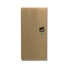 SRS-2-L-840 Клавиша двойная левая free@home, сцена, Династия, латунь античная|6220-0-0379| ABB