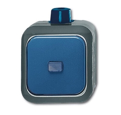 Переключатель 1-клавишный, IP66, для открытого монтажа, для работы в агрессивных средах, серия Busch-Duro 2000 WD | 1084-0-0797 | 2CKA001084A0797 | A