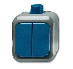 Выключатель 2-клавишный, для открытого монтажа, IP66, для работы в агрессивных средах, серия Busch-Duro 2000 WD | 1084-0-0839 | 2CKA001084A0839 | ABB