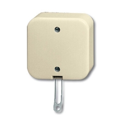 Переключатель со шнурком для открытого монтажа, серия Busch-Duro 2000 AP, цвет слоновая кость | 1343-0-0136 | 2CKA001343A0136 | ABB