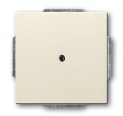 ABB Basic 55 Сл. кость Заглушка с суппортом | 1715-0-0313 | 2CKA001715A0313 | ABB