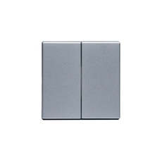 Клавиша для 2-клавишных выключателей/перелючателей/кнопок, глухая, Impressivo, алюминий | 1785-83 | 2TKA000522G1 | ABB