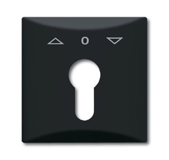 Плата центральная (накладка) с поворотной ручкой, IP44, серия Allwetter 44, цвет антрацит | 1710-0-1894 | 2CKA001710A1894 | ABB