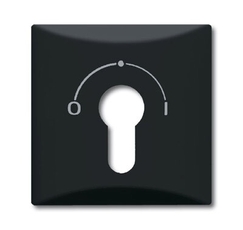 Плата центральная (накладка) с поворотной ручкой, , IP44, серия Allwetter 44, цвет антрацит | 1710-0-1902 | 2CKA001710A1902 | ABB