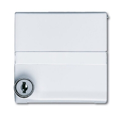 Плата промежуточная с крышкой для центр. плат , с индивидуальным зам., IP44, серия Allwetter 44, цвет сл. кость | 1710-0-2306 | 2CKA001710A2306 | ABB