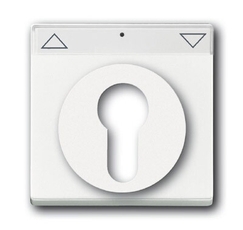 Плата центральная (накладка) для механизма выкл. жалюзи с зам., серия solo/future, цвет davos/альпийский белый | 1710-0-3175 | 2CKA001710A3175 | ABB