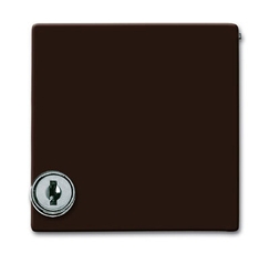 Плата промежуточная с крышкой для центр. плат , с индивидуальным зам., IP44, серия Allwette 44, цвет коричневый | 1710-0-3788 | 2CKA001710A3788 | ABB