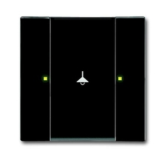 6125/02-81-500 Сенсор 1/2-кл. многофункциональный, антарцит | 6115-0-0216 | 2CKA006115A0216 | ABB