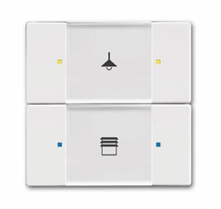 6126/02-84-500 Сенсор 2/4-кл. многофункциональный, альпийский белый | 6116-0-0209 | 2CKA006116A0209 | ABB