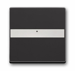 Клав. с полем для надписи, со световодом, для выкл./перекл./кнопок, серия solo/future, цвет антрацит | 1731-0-1552 | 2CKA001731A1552 | ABB