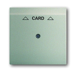 Плата центральная (накладка) для механизма карточного выключателя 2025 U, серия impuls, цвет шампань-металлик | 1753-0-6737 | 2CKA001753A6737 | ABB