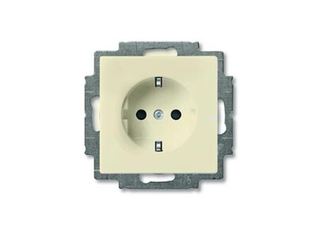 ABB Basic 55 Сл. кость Розетка с/з с защитными шторками | 2013-0-5279  | 2CKA002013A5279 | ABB