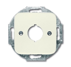 Плата центральная (накладка) с суппортом для разъёмов D=19 мм, серия Busch-Duro 2000 SI, цвет слоновая кость | 1724-0-0228 | 2CKA001724A0228 | ABB