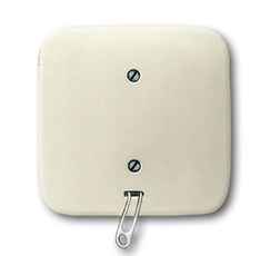 Переключатель со шнурком, для скрытого монтажа, серия Busch-Duro 2000 SI, цвет слоновая кость | 1315-0-0415 | 2CKA001315A0415 | ABB