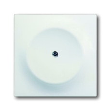 Заглушка с суп.,impuls,б.бархат | 1753-0-0166 | 2CKA001753A0166 | ABB