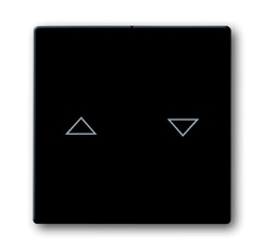 Клавиша для 2-клавишных выключателей/переключателей/кнопок с символом 