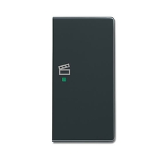 SRS-2-R-81 Клавиша двойная правая free@home, сцена, future, антрацит|6220-0-0173| ABB