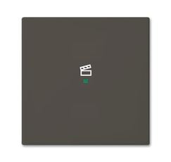 SRS-1-95 Клавиша одинарная free@home, сцена, Basic 55, цвет chateau-black | 6220-0-0689 | 2CKA006220A0689 | ABB