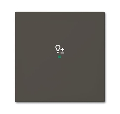 SRD-1-95 Клавиша одинарная free@home, светорегулятор, Basic 55, цвет chateau-black | 6220-0-0690 | 2CKA006220A0690 | ABB