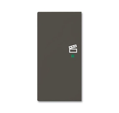 SRS-2-L-95 Клавиша двойная левая free@home, сцена, Basic 55, цвет chateau-black | 6220-0-0694 | 2CKA006220A0694 | ABB