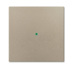 SR-1-93 Клавиша одинарная free@home, Basic 55, цвет шампань | 6220-0-0652 | 2CKA006220A0652 | ABB