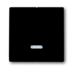 Клавиша для 2-канального светорегулятора 6565 U, серия solo/future, цвет антрацит | 6599-0-2906 | 2CKA006599A2906 | ABB