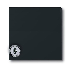 Плата промежуточная с крышкой для центр. плат , с индивидуальным зам., IP44, серия Allwette 44, цвет антрацит | 1710-0-1977 | 2CKA001710A1977 | ABB