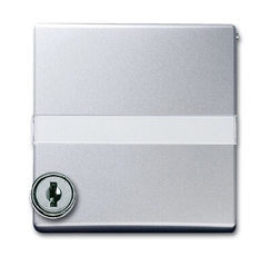 Плата промежуточная с крышкой для центральных плат , с индивидуальным зам., IP44, цвет серебристо-алюминиевый | 1710-0-3796 | 2CKA001710A3796 | ABB