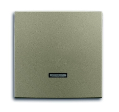 ABB Basic 55 Шампань Клавиша для светорег 6550 U-10x, 6560 U-101, 6593 U, реле 6401 U-10x, 6402 U | 6599-0-2993 | 2CKA006599A2993 | ABB