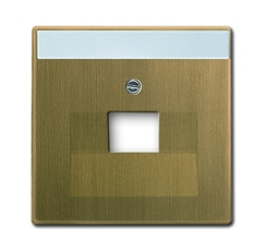 Плата центр. (накладка) для 1-ой телекомм. розетки 0213, 0216, с полем для надписи, Династия, Латунь античная | 1710-0-4082 | 2CKA001710A4082 | ABB