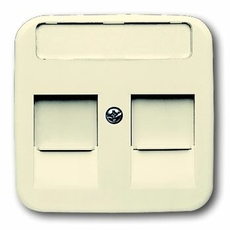 Плата центр. (накладка) для розеток с супп. 1810, 1812, 1814, 1816 и 1818, с полем для надписи, серия Busch-Duro | 1753-0-9975 | 2CKA001753A9975 | AB