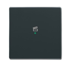 SRS-1-81 Клавиша одинарная free@home, сцена, future, антрацит|6220-0-0146| ABB