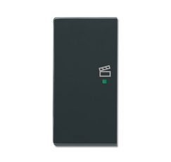 SRS-2-L-81 Клавиша двойная левая free@home, сцена, future, антрацит|6220-0-0161| ABB