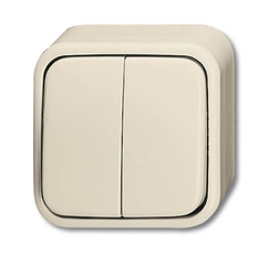 Выключатель 2-клавишный, с подсветкой, для открытого монтажа, IP44, серия Busch-Duro 2000 AP, цвет слоновая кость | 1042-0-0670 | 2CKA001042A0670 | A