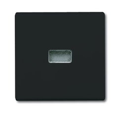 Клавиша для мех. 1-клавишного выкл./перекл./кнопки, с красной линзой (IP44), серия Allwetter 44, цвет антрацит | 1731-0-1742 | 2CKA001731A1742 | ABB