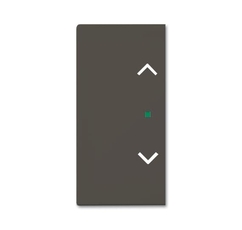 SRB-2-95 Клавиша двойная free@home, жалюзи, Basic 55, цвет chateau-black | 6220-0-0693 | 2CKA006220A0693 | ABB