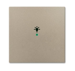 SRL-1-93 Клавиша одинарная free@home, освещение, Basic 55, цвет шампань | 6220-0-0653 | 2CKA006220A0653 | ABB