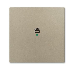 SRS-1-93 Клавиша одинарная free@home, сцена, Basic 55, цвет шампань | 6220-0-0655 | 2CKA006220A0655 | ABB