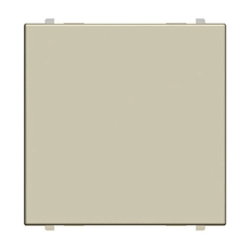 ABB Zenit Шампань Заглушка (2мод) | N2200 CV | 2CLA220000N1901 | ABB