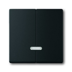 Управляющий элемент для 2-канального светорегулятора 6565 U, серия solo/future, цвет чёрный бархат | 6599-0-2969 | 2CKA006599A2969 | ABB