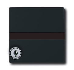 Плата промежуточная с крышкой для центр. плат , с индивидуальным зам., IP44, серия Allwetter 44, цвет антрацит | 1710-0-1985 | 2CKA001710A1985 | ABB