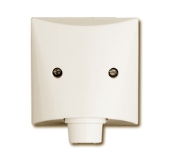 Плата центральная с суппортом, с выводом для кабеля (до 5 х 2.5 мм), IP44, серия Allwetter 44, цвет сл. кость | 1710-0-2256 | 2CKA001710A2256 | ABB