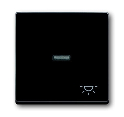 Клавиша для механизма 1-клавишного выкл./перекл./кнопки, с символом 